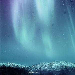 Meet your Posher, Coleton